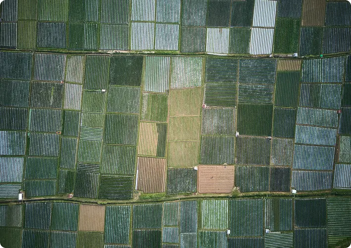 Overhead view of fields and crops